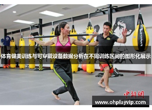 体育健美训练与可穿戴设备数据分析在不同训练区间的图形化展示